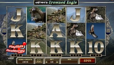 Untamed Crowned Eagle Microgaming Slots Review