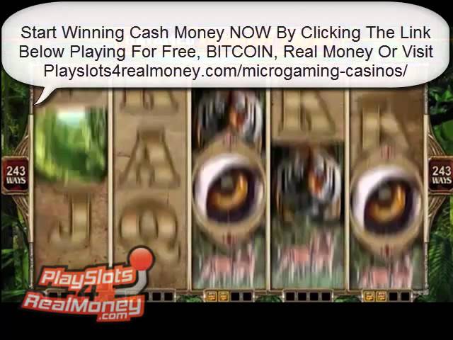 microgaming casino slot machines