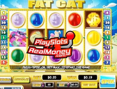 Fat Cat Online Slots Review At Miami Club Casino