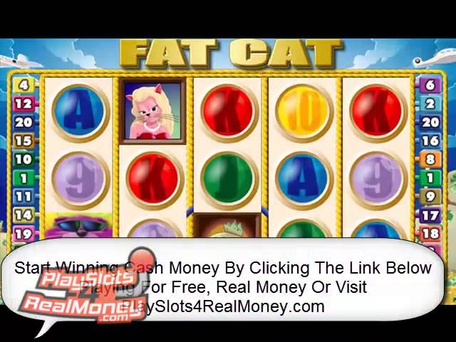 Fat cat casino slots games