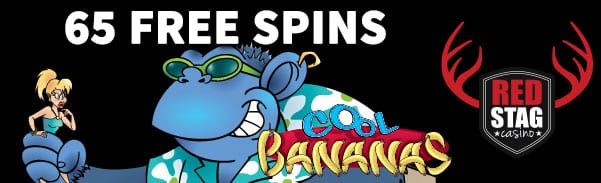 Buzz bingo 110 free spins