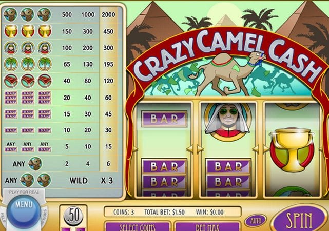 Crazy Camel Cash Slot