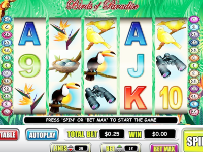 Paradise Slots Paradise Slots