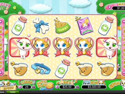 Spiele Purrfect Pets - Video Slots Online Spiele Purrfect Pets - Video Slots Online