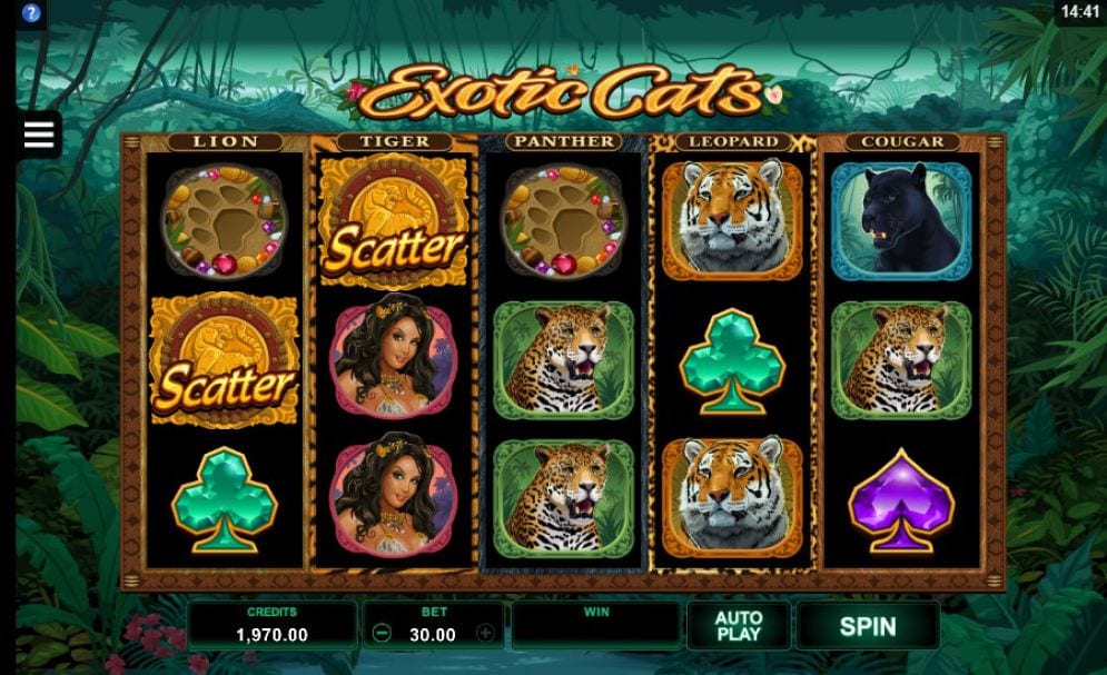 Exotic Cats Online Slots Goes Live as the Latest Offering from Microgaming