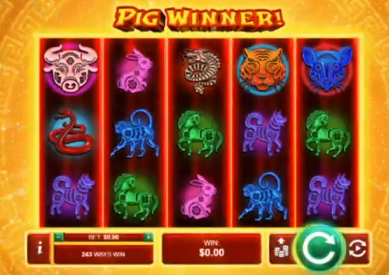 pig winner chinese slot machine