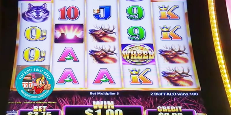 $6k Run For The Money — Lucky Dog Casino | Gaming And Dining In Slot Machine