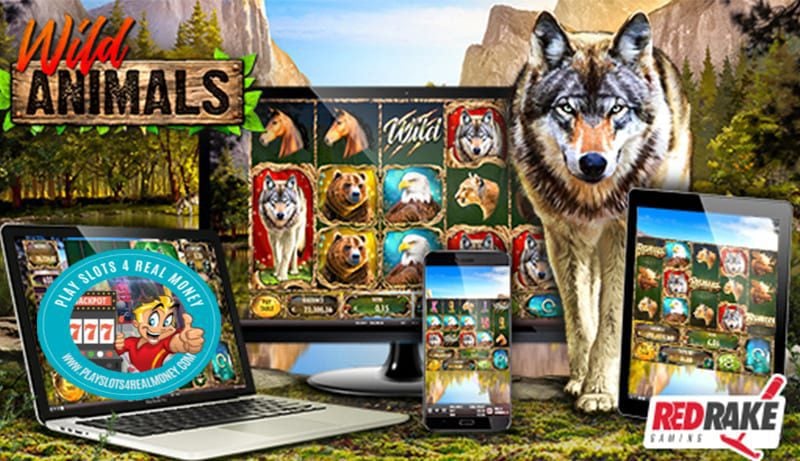 Red Rake Gaming Goes Wild With Wild Animals Slot Machine Release