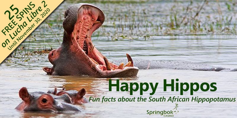 South African Players Can Get Free Money To Gamble Using Our Free Casino Credits On Slots Through November 2020