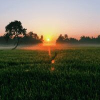 top gambling websites accepting players from Bangladesh 