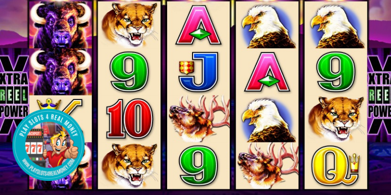Buffalo Slot Machine Review, RTP% & Bonuses By Aristocrat Gaming