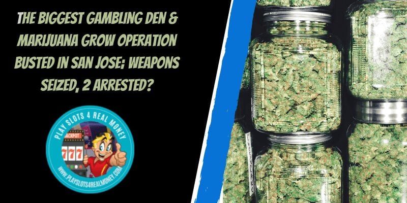 The Biggest Gambling Den & Marijuana Grow Operation Busted In San Jose; Weapons Seized, 2 Arrested?