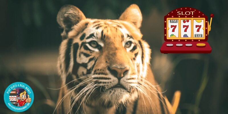 Best Tiger Slots