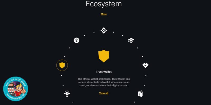 Binance Ecosystem Review