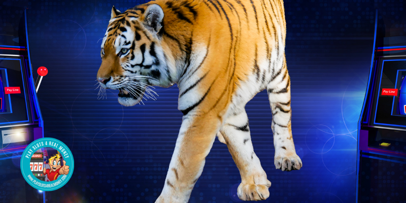 Tiger Slots