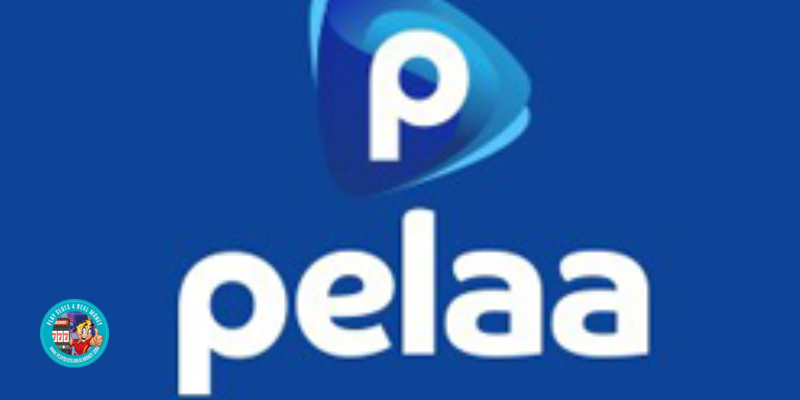 Pelaa Casino Review