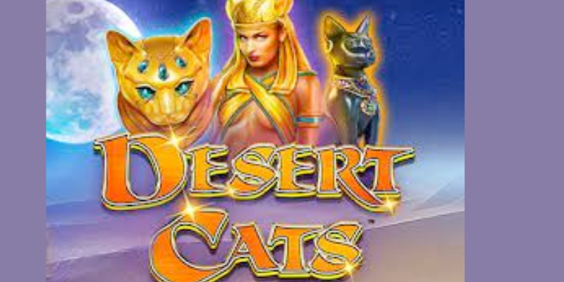 Desert Cats slot Review