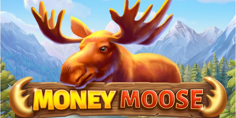 Money Moose Slot Review